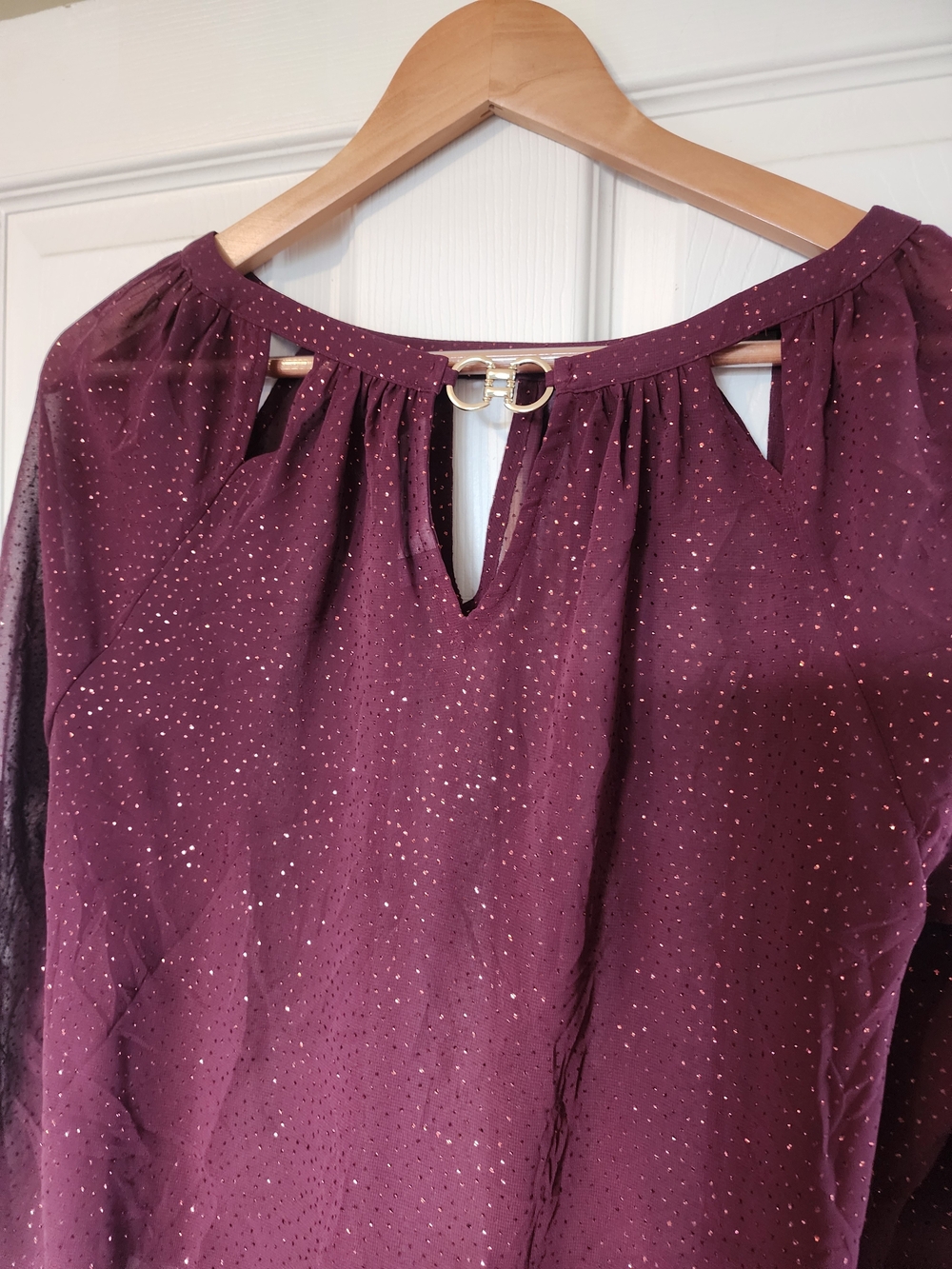 Jennifer Lopez Sheer, Shimmery Long-Sleeve Peasant Blouse in Plum - Picture 4 of 6